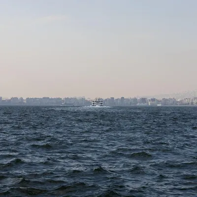 web tasarım izmir