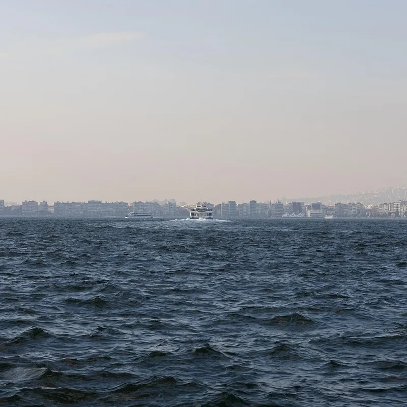 web tasarım izmir